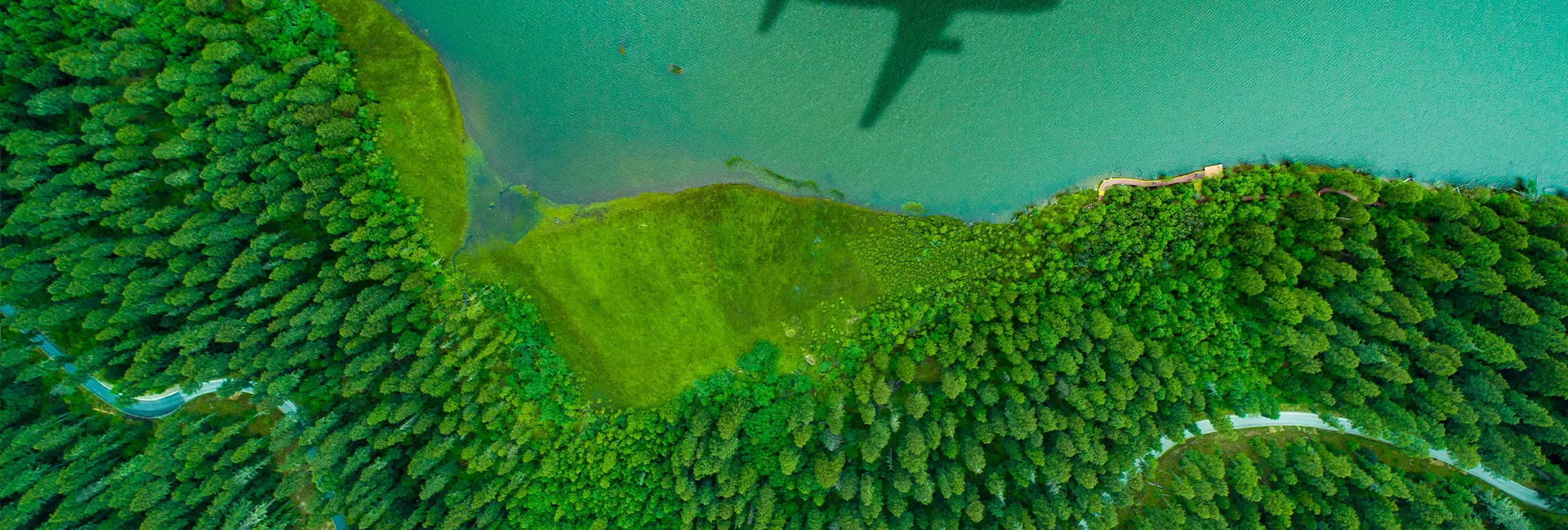 Aerial view of forest and lake with an airplane shadow overhead