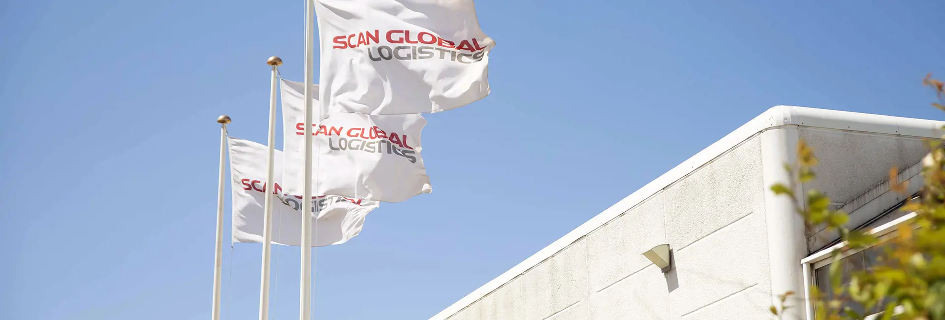 Scan Global Logistics flags waving against a clear blue sky, symbolizing the company’s global presence