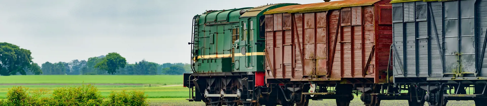 Freight train with green and red cargo cars traveling through a lush rural landscape