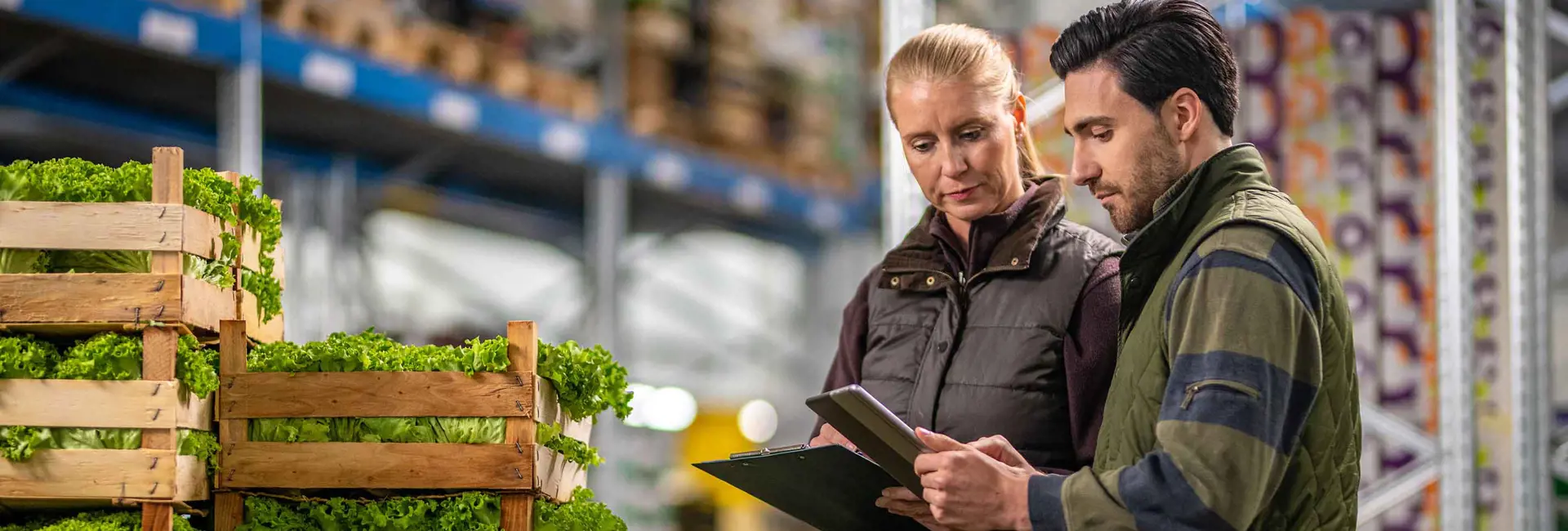 Two warehouse workers discussing logistics while reviewing a tablet in front of crates of fresh lettuce