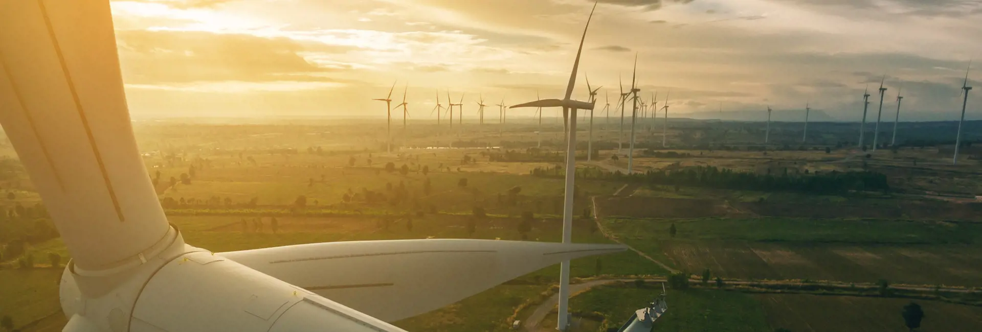 Wind turbines on a sprawling green landscape during sunset, symbolizing renewable energy.