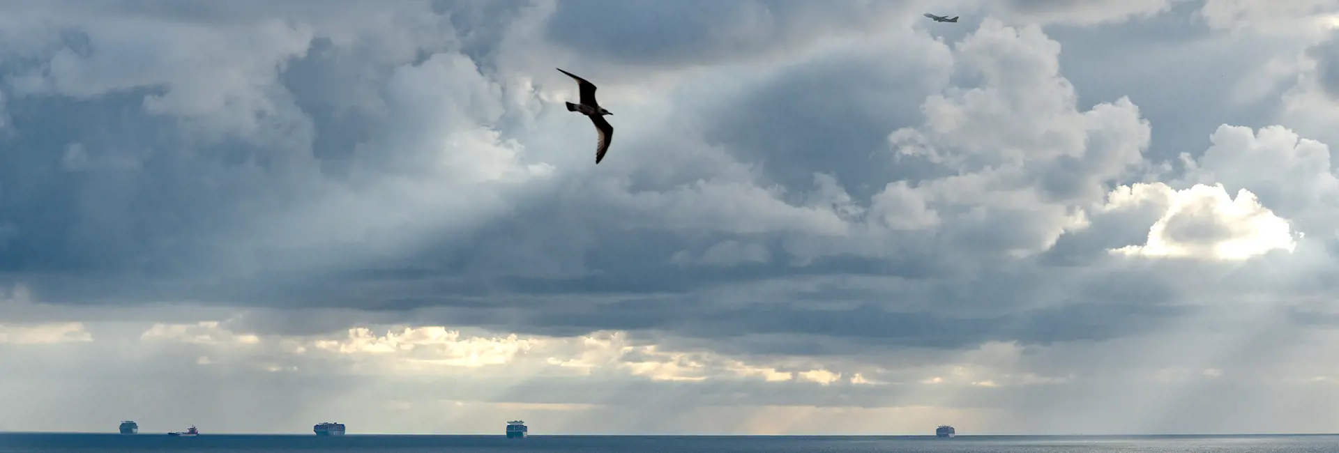 Ocean horizon with cargo ships, a soaring bird, and an airplane in the cloudy sky, symbolizing sustainability efforts by Scan Global Logistics
