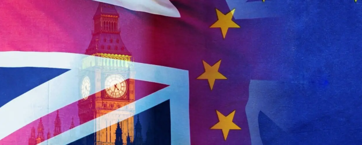 A flag and Westminster Palace