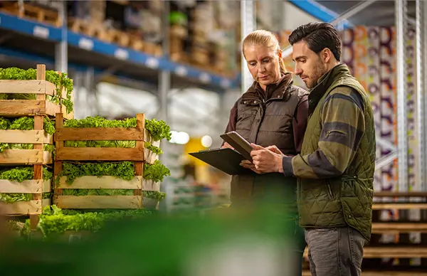 Two workers inspecting crates of fresh lettuce in a warehouse while reviewing notes on a tablet