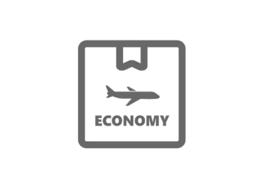 Gray economy icon with an airplane and the word 'Economy' beneath it