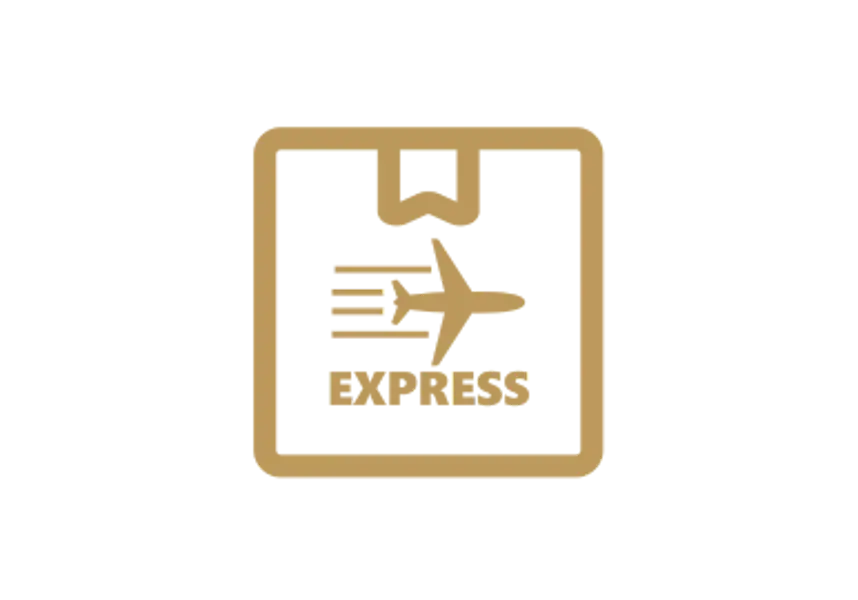 Gold express icon with a flying airplane and the word 'Express' beneath it
